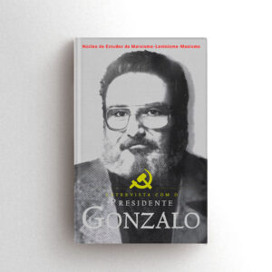 Imagem Ilustrativa da capa do Livro Entrevista com o Presidente Gonzazlo