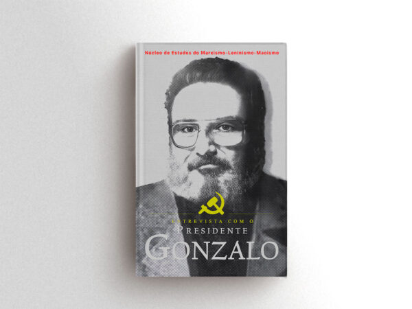 Imagem Ilustrativa da capa do Livro Entrevista com o Presidente Gonzazlo